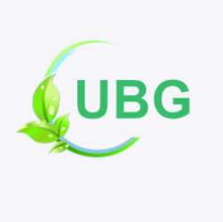 favicion-ubg