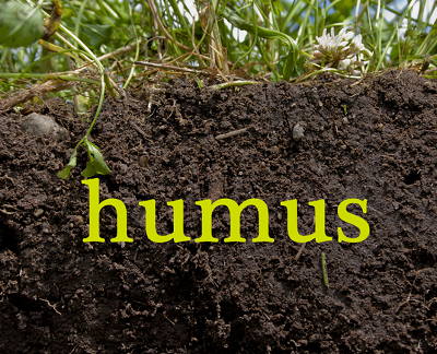 humus-zemlia-uzbiogum